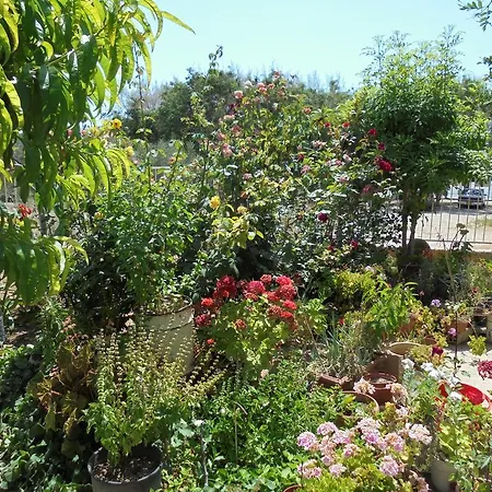 Apartmán Niki Court Paphos